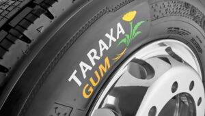 Continental_Taraxagum_EcoPlusHD3_3